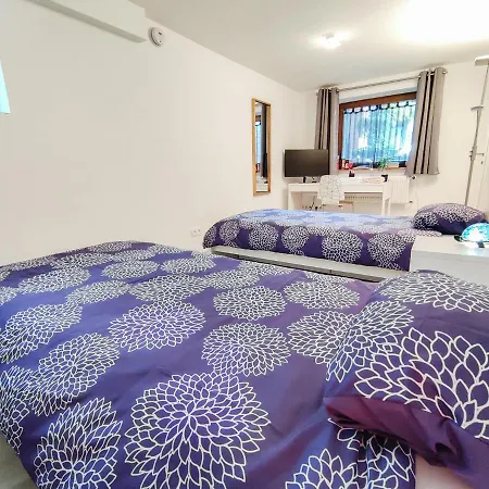 Tranquil City Haven Close To Airport & Basel Saint-Louis  Extérieur photo