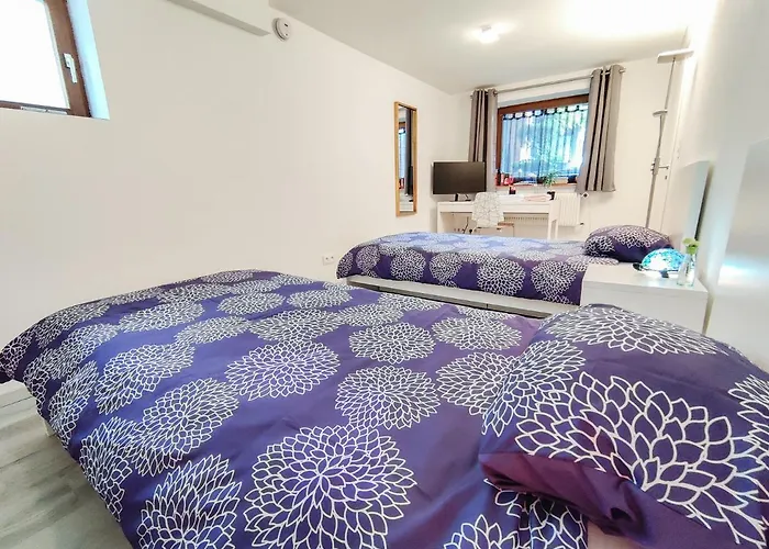 Tranquil City Haven Close To Airport & Basel