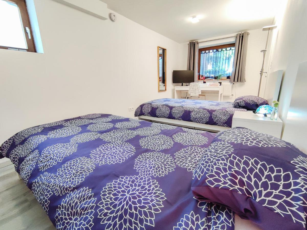Apartment Tranquil Haven Close To Airport & Basel